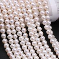 Runde ferskvandskulturperle Beads, Ferskvandsperle, du kan DIY, hvid, 5.5-6mm, Solgt Per Ca. 38-40 cm Strand