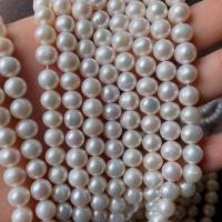 Perlas Redondas Freshwater, Perlas cultivadas de agua dulce, Bricolaje, Blanco, 7-8mm, Vendido para aproximado 14.17 Inch Sarta