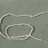 Barok ferskvandskulturperle Beads, Ferskvandsperle, Uregelmæssig, du kan DIY, hvid, 3-3.5mm, Solgt Per Ca. 14.2 inch Strand