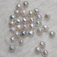 Perles nacres sans trou de culture d'eau douce, perle d'eau douce cultivée, Irrégulière, DIY & aucun trou, blanc, 12-13mm, Vendu par PC