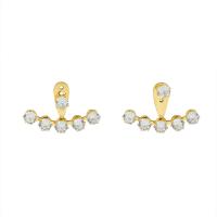 Titanium Steel  Earring with Cubic Zirconia Vacuum Ion Plating for woman Sold By Pair