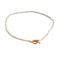 Freshwater Pearl Brass Chain Necklace, Pérolas de água doce, joias de moda & para mulher, branco, 390mm, vendido por PC