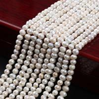 Brambor pěstované sladkovodní perle, Sladkovodní Pearl, DIY, bílý, 6-7mm, Prodáno za Cca 14-15 inch Strand