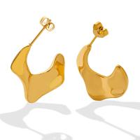 Titan Stahl Ohrring, Titanstahl, für Frau, keine, 20mm, verkauft von Paar