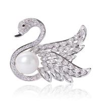 Plastic Pearl Brooch, Brass, with Plastic Pearl, Swan, silver color plated, fashion jewelry & micro pave cubic zirconia & for woman, silver color, nickel, lead & cadmium free, 33x42mm, Sold By PC