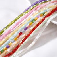 Perles de coquille colore naturelle, pilier, DIY, plus de couleurs à choisir, 3x5mm, Environ 80PC/brin, Vendu par brin