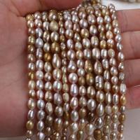 Perlas Arroz Freshwater, Perlas cultivadas de agua dulce, Bricolaje, 4-5mm, Vendido para aproximado 14-15 Inch Sarta