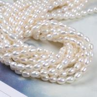 Rice ferskvandskulturperle Beads, Ferskvandsperle, du kan DIY, hvid, 3-4mm, Solgt Per Ca. 14-15 inch Strand
