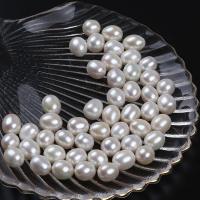 Riso coltivato in perla d'acqua dolce, perla d'acquadolce coltivata naturalmente, DIY, nessuno, 10-11mm, Venduto da PC