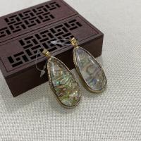 Natural Abalone Shell Pendants, with Brass, Teardrop, gold color plated, Unisex, mixed colors, 25x48mm, Sold By PC