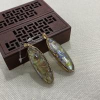 Natural Abalone Shell Pendants with Brass Oval gold color plated Unisex mixed colors Sold By PC