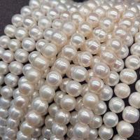 Naturliga sötvattenspärla lösa pärlor, Freshwater Pearl, DIY & olika storlek för val, vit, Såld Per Ca 14.17 inch Strand