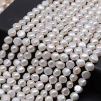 Barock odlad sötvattenspärla pärlor, Freshwater Pearl, DIY & olika storlek för val, vit, Såld Per Ca 14.17 inch Strand