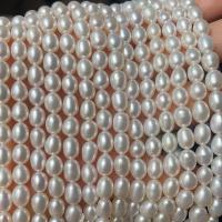 Riso coltivato in perla d'acqua dolce, perla d'acquadolce coltivata naturalmente, DIY & formato differente per scelta, bianco, Venduto per Appross. 36-38 cm filo