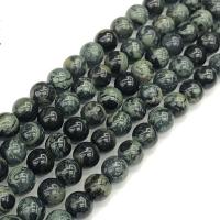 Kambaba Jasper perla, Cerchio, DIY & formato differente per scelta, Venduto per Appross. 38 cm filo