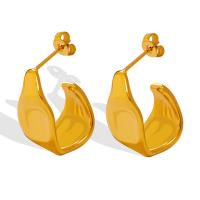 Titan Stahl Ohrring, Titanstahl, für Frau, keine, 10x20mm, verkauft von Paar