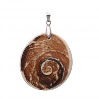 Shell Pendants Unisex mixed colors Sold By PC