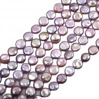 Cultured Coin Freshwater Pearl Beads Flat Round DIY purple 12-13mm Approx Sold By Strand