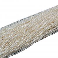 Reis Süßwasser Zuchtperlen, Natürliche kultivierte Süßwasserperlen, DIY & verschiedene Größen vorhanden, weiß, verkauft per ca. 36-38 cm Strang