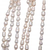 Perlas Arroz Freshwater, Perlas cultivadas de agua dulce, Bricolaje, Blanco, 6-7mm, Vendido para aproximado 36 cm Sarta