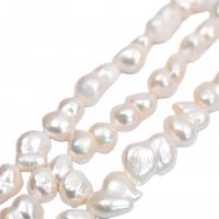Barock odlad sötvattenspärla pärlor, Freshwater Pearl, DIY & olika storlek för val, vit, Såld Per Ca 38 cm Strand