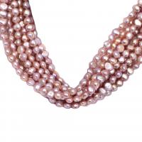 Barock odlad sötvattenspärla pärlor, Freshwater Pearl, DIY, purpur, 5-6mm, Såld Per Ca 36-38 cm Strand