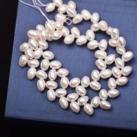 Perlas Arroz Freshwater, Perlas cultivadas de agua dulce, Bricolaje, Blanco, 6-7mm, Vendido para aproximado 36-38 cm Sarta