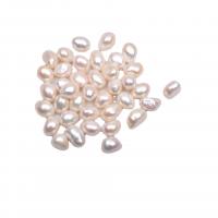 Inga Hål odlad sötvattenspärla pärlor, Freshwater Pearl, Annorlunda form för choice & DIY & inget hål, vit, 10-11mm, Säljs av PC