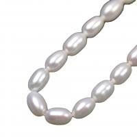 Perlas Arroz Freshwater, Perlas cultivadas de agua dulce, Bricolaje, Blanco, 6mm, Vendido para aproximado 36-37 cm Sarta