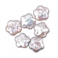 Nessun buco coltivate in acqua dolce Perla, perla d'acquadolce coltivata naturalmente, Fiore, DIY & non forato, bianco, 16-17mm, Venduto da PC