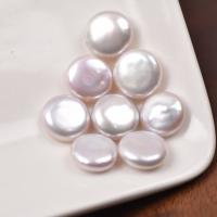 Perles nacres sans trou de culture d'eau douce, perle d'eau douce cultivée, Plat rond, DIY & aucun trou, blanc, 12mm, Vendu par PC