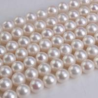 Perles de nacre rondes de culture d'eau douce, perle d'eau douce cultivée, DIY & pour femme, blanc, 9-10mm, Vendu par Environ 15.7 pouce brin