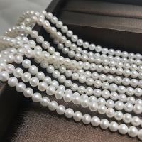 Perles de nacre rondes de culture d'eau douce, perle d'eau douce cultivée, DIY & pour femme, blanc, 4-5mm, Vendu par Environ 15 pouce brin
