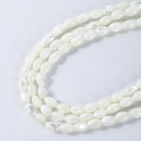 Natürliche Süßwasser Muschel Perlen, poliert, DIY & verschiedene Größen vorhanden, weiß, verkauft per ca. 14 ZollInch Strang