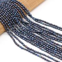 Cultured Rice Freshwater Pearl Beads, DIY & different size for choice, black, Sold Per Approx 10.62 Inch Strand