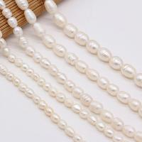 Cultured Rice Freshwater Pearl Beads, DIY & different size for choice, white, Sold Per Approx 10.23 Inch Strand