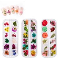 3D Nail Art украшения, Сухих цветов, Форма цветка, Женский, Много цветов для выбора, 135x50mm, продается Box