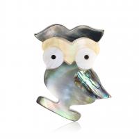Shell Broche, Owl, for kvinde, blandede farver, 29x37mm, Solgt af PC