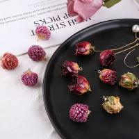 Dried Flower Pendant with Zinc Alloy gold color plated DIY & epoxy gel nickel lead & cadmium free Sold By PC