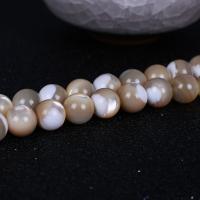 Turbanschnecken Perle, rund, DIY & verschiedene Größen vorhanden, gemischte Farben, verkauft von Strang