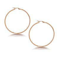 Stainless Steel Hoop Earring, 304 Stainless Steel, Vacuum Ion Plating, fashion jewelry & different size for choice & for woman, more colors for choice, Sold By Pair