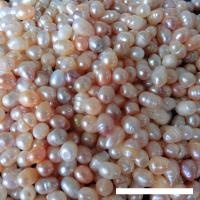 Inga Hål odlad sötvattenspärla pärlor, Freshwater Pearl, Naturligt & olika storlek för val & inget hål, 500G/Bag, Säljs av Bag