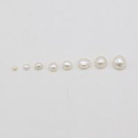 Perles de culture d'eau douce Keishi, perle d'eau douce cultivée, baroque, Naturel & DIY & normes différentes pour le choix, blanc, 20PC/sac, Vendu par sac