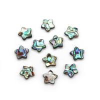 Abalone Shell Beads, Star, DIY, 15mm, Sold By PC
