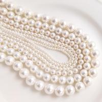 Runde ferskvandskulturperle Beads, Shell Pearl, ovntørrende lak, forskellig størrelse for valg, hvid, Solgt Per Ca. 15.74 inch Strand
