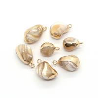 Shell Pendants Freshwater Shell with Brass irregular gold color plated DIY & 1/1 loop 10x15- Sold By PC