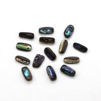 Abalone Shell Beads, DIY & different size for choice, multi-colored, Sold By PC