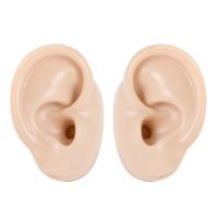 Silicone 3D Ear Displays Model, different styles for choice, more colors for choice, Sold By PC