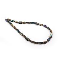 Abalone -Shell-Beads, conchiglia Abalone, DIY & formato differente per scelta, multi-colore, Venduto da filo