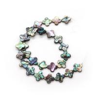 Abalone Shell Beads, Four Leaf Clover, DIY & different size for choice, multi-colored, Sold By Strand